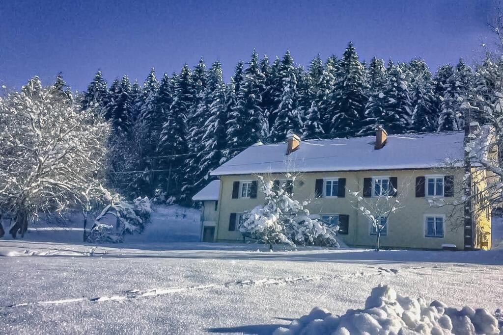 Chalet Cosy Lisiere De Foret Ксорюпт-Лонжме Экстерьер фото