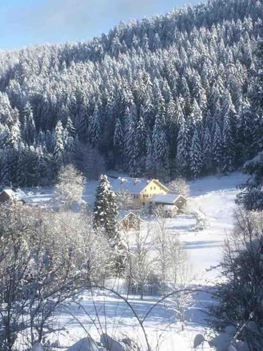 Chalet Cosy Lisiere De Foret Ксорюпт-Лонжме Экстерьер фото