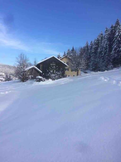 Chalet Cosy Lisiere De Foret Ксорюпт-Лонжме Экстерьер фото